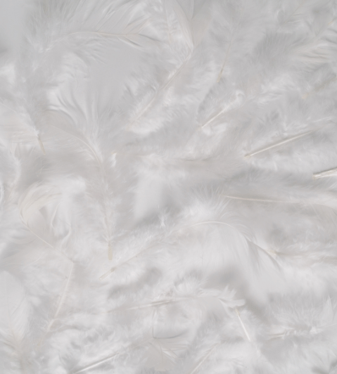 Untitled design – 2025-06-15T155926.692 Untitled design - 2025-06-15T155926.692